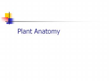 Plant Anatomy
