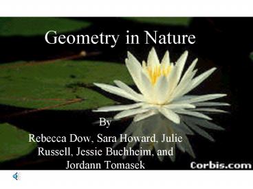 Geometry in Nature