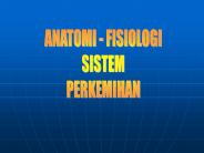 ANATOMI - FISIOLOGI  PERKEMIHAN