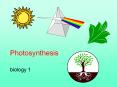 Photosynthesis PowerPoint PPT Presentation