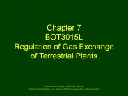 Chapter 7 BOT3015L Regulation of Gas Exchange of Terrestrial Plants