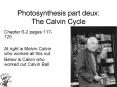Photosynthesis part deux: The Calvin Cycle PowerPoint PPT Presentation