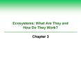 Ecosystems: What Are They and How Do They Work? PowerPoint PPT Presentation