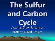 The Sulfur and Carbon Cycle