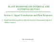 PLANT RESPONSES TO INTERNAL AND EXTERNAL SIGNALS PowerPoint PPT Presentation