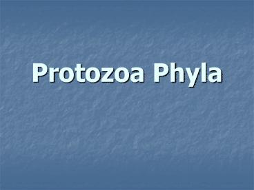 Protozoa Phyla