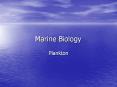 Marine Biology PowerPoint PPT Presentation