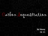 Carbon Sequestration