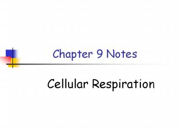 Chapter 9 Notes