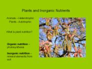 Plants and Inorganic Nutrients