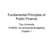 Fundamental Principles of Public Finance