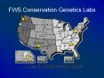 FWS Genetics Capabilities Provide sampling guidance, genetic PowerPoint PPT Presentation