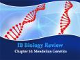 IB Biology Review Chapter 14: Mendelian Genetics 4. A parent PowerPoint PPT Presentation