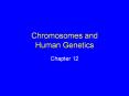 Chromosomes and Human Genetics Chapter 12 Chromosomes PowerPoint PPT Presentation