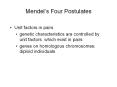 Mendel’s Four Postulates PowerPoint PPT Presentation