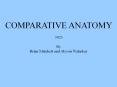 COMPARATIVE ANATOMY PowerPoint PPT Presentation
