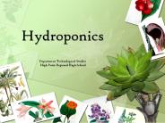 Hydroponics Department Technological Studies High Point Regional High School