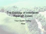 The Ecology of Interfaces: Riparian Zones