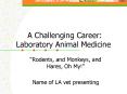 A Challenging Career: Laboratory Animal Medicine  Rodents PowerPoint PPT Presentation