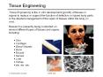 Tissue Engineering PowerPoint PPT Presentation