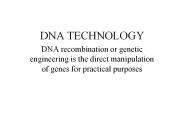 DNA TECHNOLOGY
