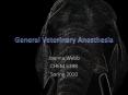 General Veterinary Anesthesia PowerPoint PPT Presentation