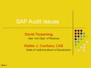 SAP Audit Issues