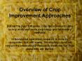 Overview of Crop Improvement Approaches During the past 100 years, crop improvement came to rely more and more on biology and laboratory methods. In developed countries, research is done by companies that sell seeds. Developing countries rely on the PowerPoint PPT Presentation
