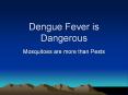Dengue Fever is Dangerous PowerPoint PPT Presentation