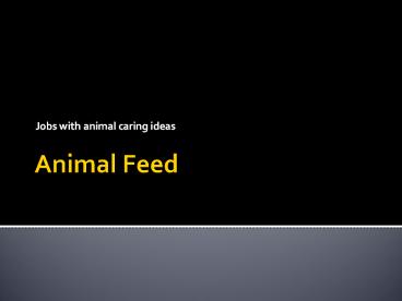 Jobs with animal caring ideas