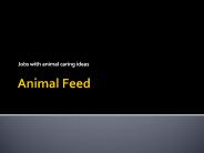 Jobs with animal caring ideas