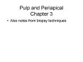 Pulp and Periapical Chapter 3 PowerPoint PPT Presentation