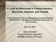 A Look at Wisconsin’s Forest Industry