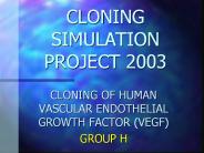 CLONING SIMULATION PROJECT 2003