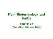 Plant Biotechnology and GMOs