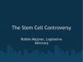 The Stem Cell Controversy PowerPoint PPT Presentation