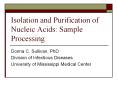 Isolation and Purification of Nucleic Acids: Sample PowerPoint PPT Presentation