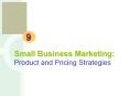 Small Business Marketing: Product and Pricing Strategies PowerPoint PPT Presentation