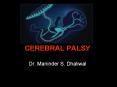 CEREBRAL PALSY PowerPoint PPT Presentation