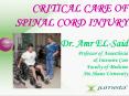 CRITICAL CARE OF SPINAL CORD INJURY Dr. Amr EL-Said Professor of Anaesthesia & Intensive Care Faculty of Medicine  Ain Shams University PowerPoint PPT Presentation