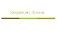 Respiratory System PowerPoint PPT Presentation