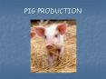 PIG PRODUCTION PowerPoint PPT Presentation