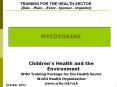 TRAINING FOR THE HEALTH SECTOR PowerPoint PPT Presentation