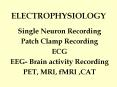 ELECTROPHYSIOLOGY PowerPoint PPT Presentation