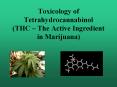 Toxicology of Tetrahydrocannabinol (THC – The Active Ingredient in Marijuana) PowerPoint PPT Presentation