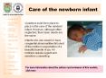 Care of the newborn infant PowerPoint PPT Presentation
