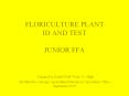 FLORICULTURE PLANT ID AND TEST  JUNIOR FFA   Original by Keith Wall, Ware Co. High Modified by Georgia Agriculture Education Curriculum Office September 2005 PowerPoint PPT Presentation
