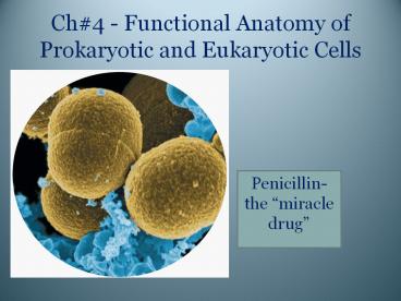 Ch4 - Functional Anatomy of Prokaryotic and Eukaryotic Cells