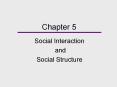 Social Interaction PowerPoint PPT Presentation
