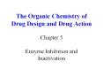The Organic Chemistry of Drug Design and Drug Action PowerPoint PPT Presentation
